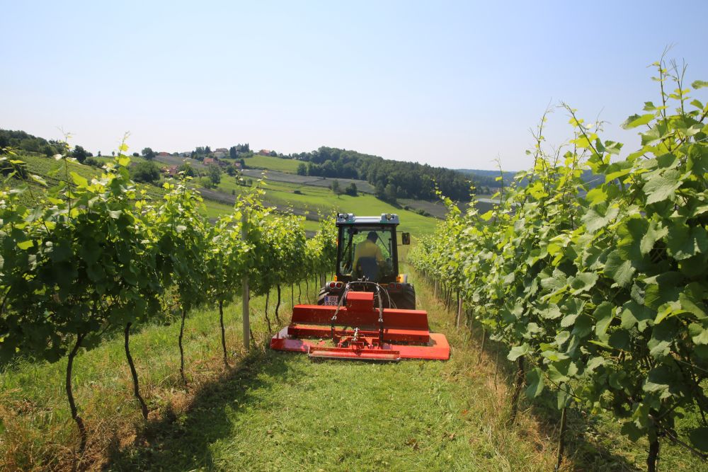 Finishing mowers for mowing in the vineyard